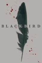 Смотреть Чёрная птица онлайн в хорошем качестве